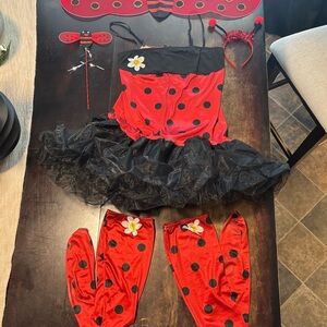 Ladybug women’s  Costume Set - Red and Black M